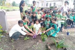 GREEN-COLOUR-DAY-01